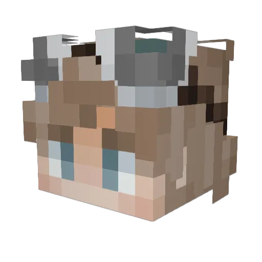 Blueocean255 Minecraft avatar head, 3D render