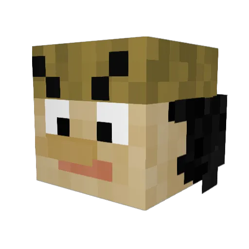 Bluepak10 Minecraft avatar head, 3D render