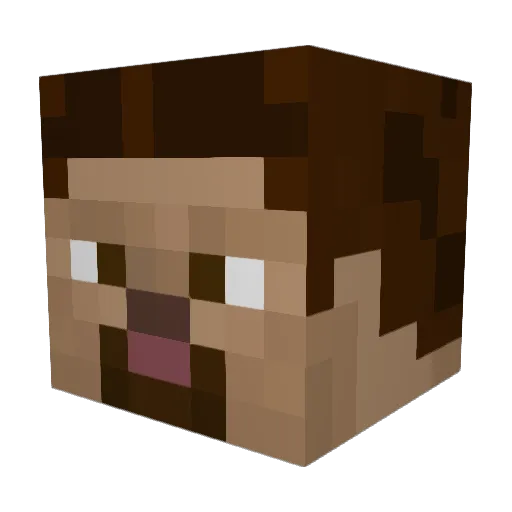Bluepaw123 Minecraft avatar head, 3D render