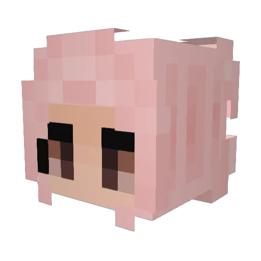 Blueraptor12705 Minecraft avatar head, 3D render