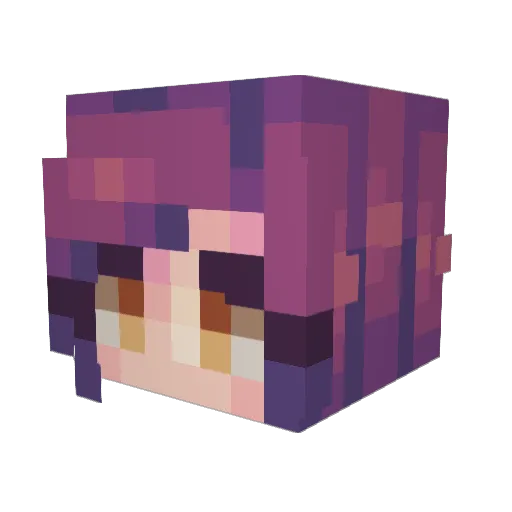 Bluereign96 Minecraft avatar head, 3D render