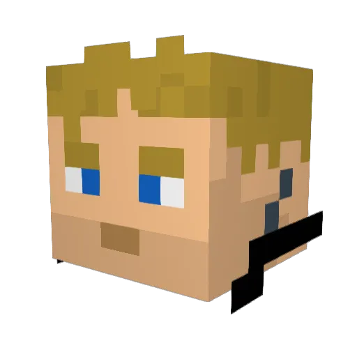 Bluerobin427 Minecraft avatar head, 3D render