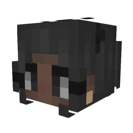BluesClues22 Minecraft avatar head, 3D render