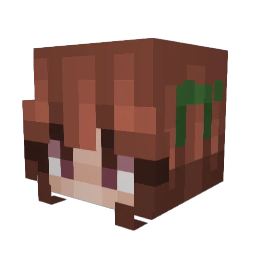 Blues_Octopus Minecraft avatar head, 3D render