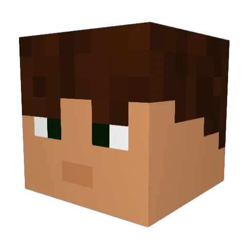 Bluesader20 Minecraft avatar head, 3D render