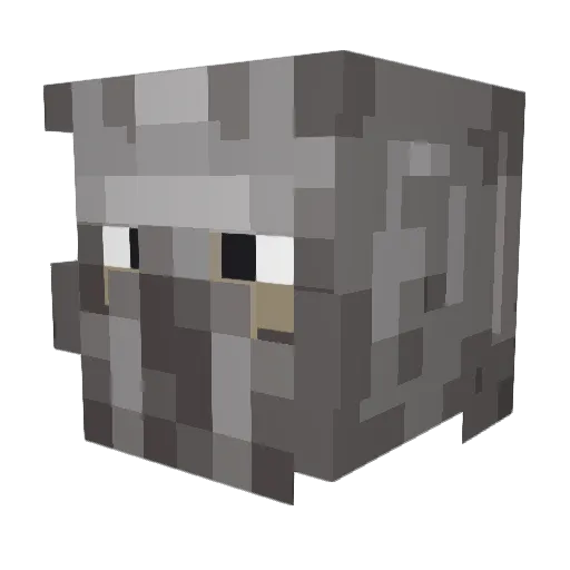 Blueslayer980 Minecraft avatar head, 3D render
