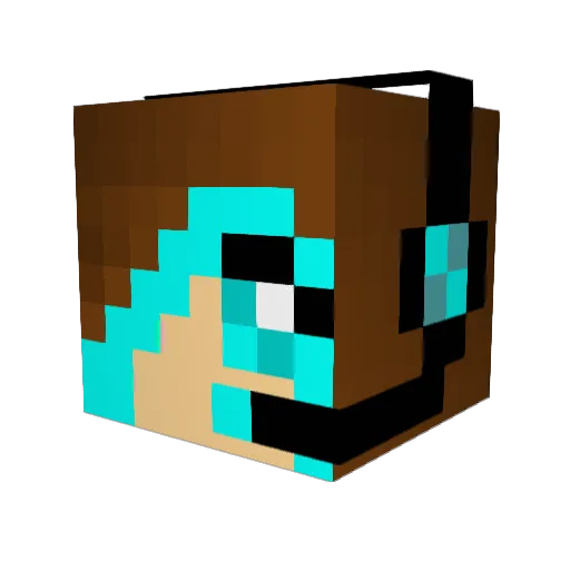 Bluestar300 Minecraft avatar head, 3D render