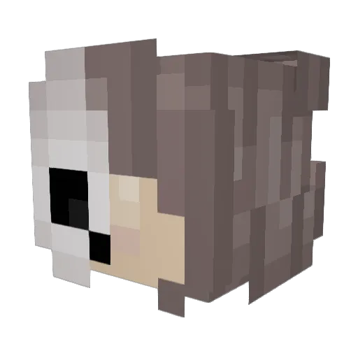 Blueunikitty Minecraft avatar head, 3D render