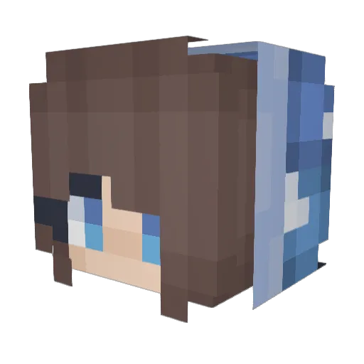 Bluewater2016 Minecraft avatar head, 3D render