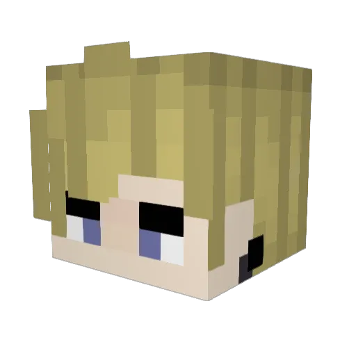 Bluewildfire9 Minecraft avatar head, 3D render