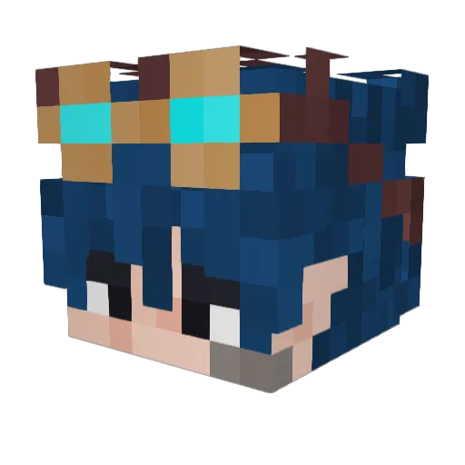 Bluewolf9859 Minecraft avatar head, 3D render