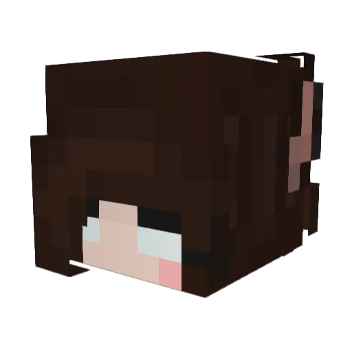 BluewolfAlpha24 Minecraft avatar head, 3D render