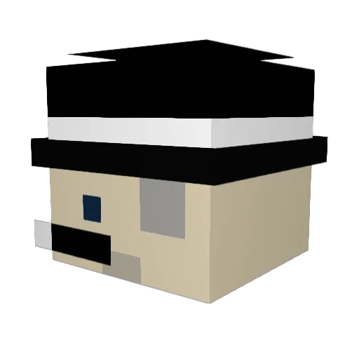 Bluexroyal19 Minecraft avatar head, 3D render