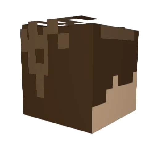 BlueyR07 Minecraft avatar head, 3D render