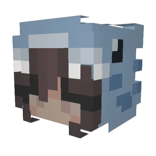 Blueyago Minecraft avatar head, 3D render