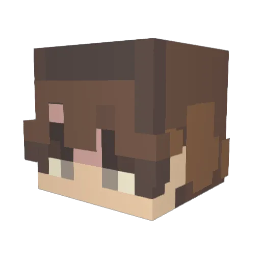Blueyes2310 Minecraft avatar head, 3D render