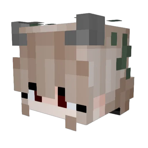 Blueyez1504 Minecraft avatar head, 3D render