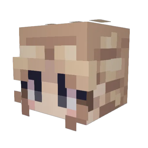 Bluezinhaaa Minecraft avatar head, 3D render