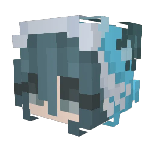 Blufoxx77 Minecraft avatar head, 3D render
