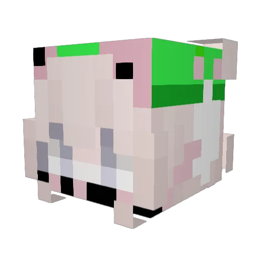 BluisNOTbetter Minecraft avatar head, 3D render