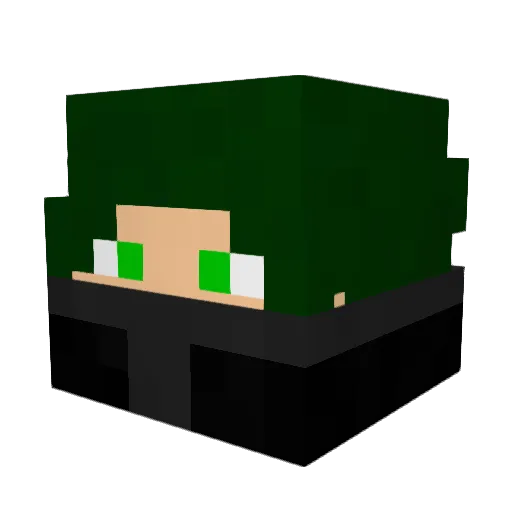 Blujang Minecraft avatar head, 3D render