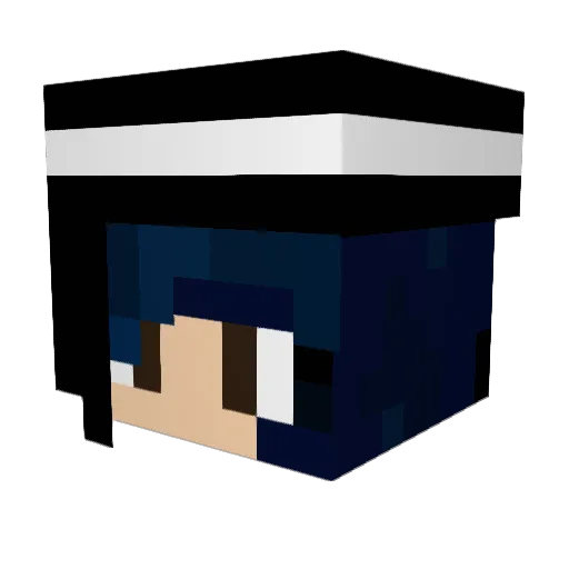 Blujus01 Minecraft avatar head, 3D render