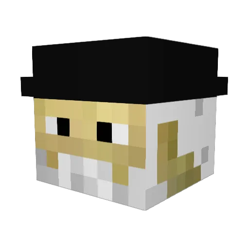 Bluker66 Minecraft avatar head, 3D render