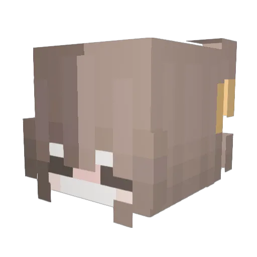 Blume0 Minecraft avatar head, 3D render