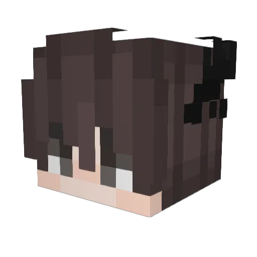 BlunDaDumb Minecraft avatar head, 3D render