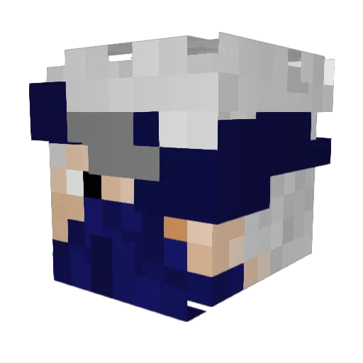Blunder143 Minecraft avatar head, 3D render