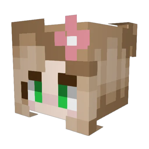 BluneFairy38 Minecraft avatar head, 3D render
