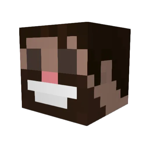 Bluntbows Minecraft avatar head, 3D render