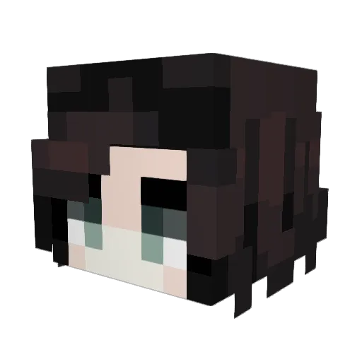 Blupanders Minecraft avatar head, 3D render