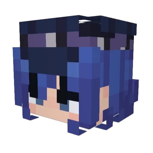 Blurry_Cat Minecraft avatar head, 3D render