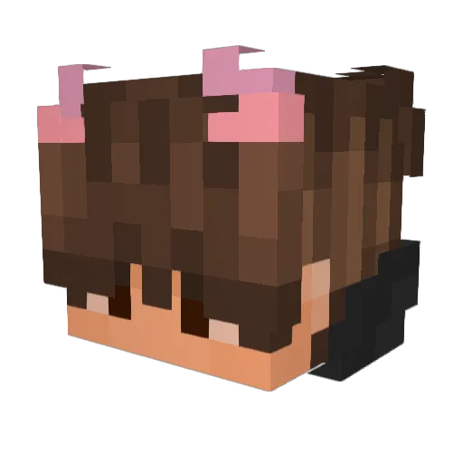 Blusedy613x2 Minecraft avatar head, 3D render