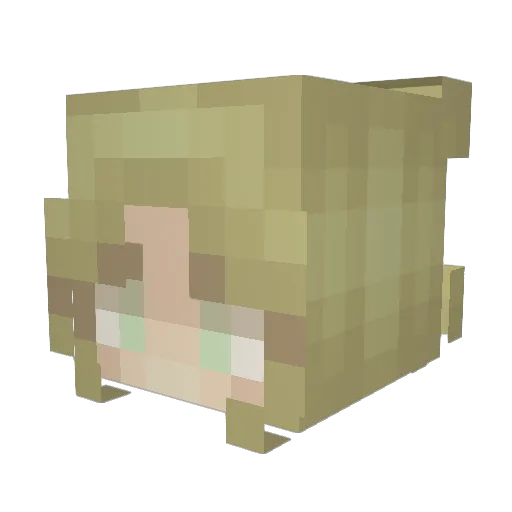 BlushingEclipsa Minecraft avatar head, 3D render