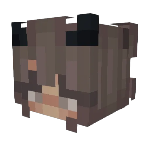 BlushingGirl Minecraft avatar head, 3D render