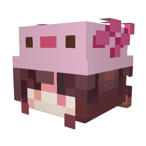Blushy_ily Minecraft avatar head, 3D render