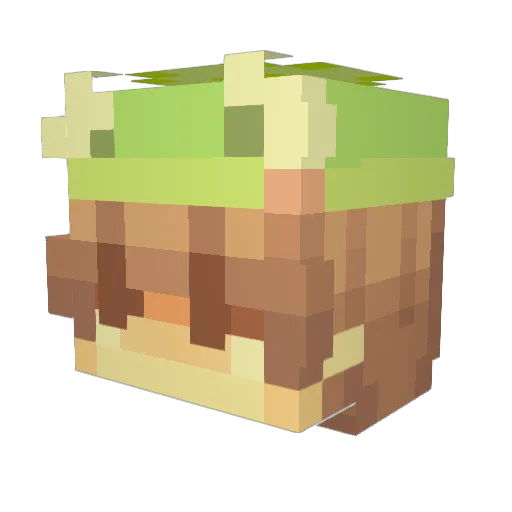Blusy2233 Minecraft avatar head, 3D render