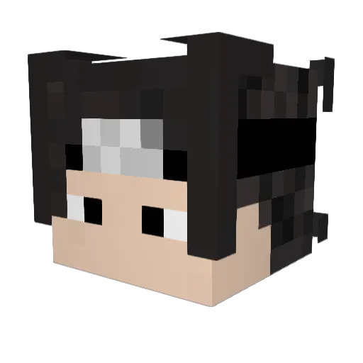 Bluteule Minecraft avatar head, 3D render