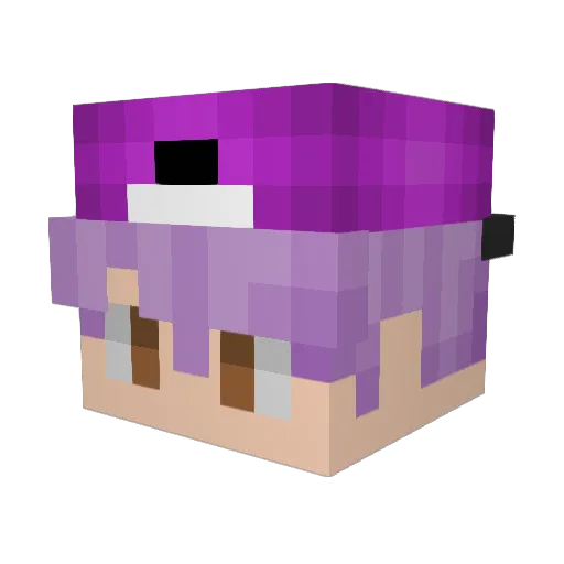 Blutgebadet Minecraft avatar head, 3D render