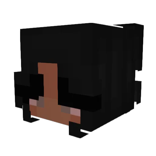 Bluumwashere Minecraft avatar head, 3D render