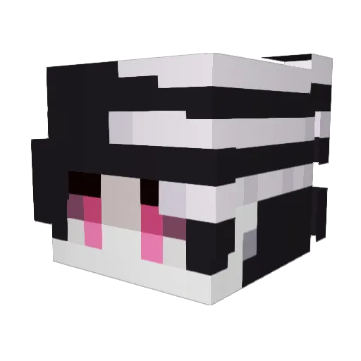 BlvckCatt Minecraft avatar head, 3D render