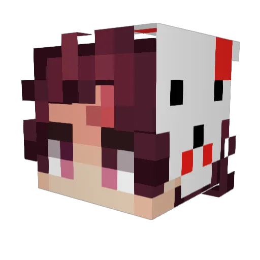 Blvckxsun_ Minecraft avatar head, 3D render