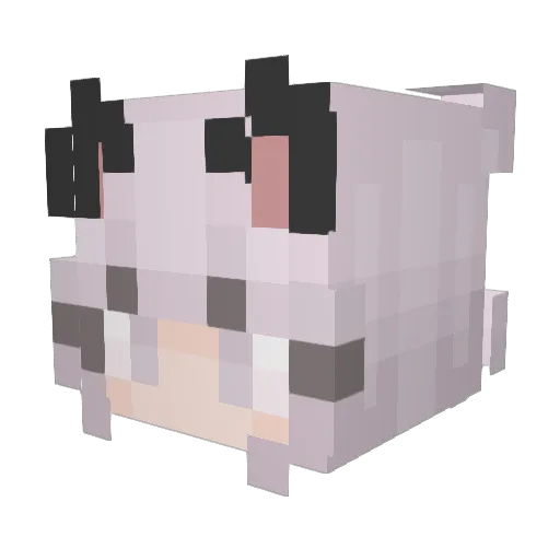 BlxckRose Minecraft avatar head, 3D render