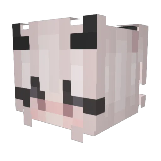 BlxnkRose Minecraft avatar head, 3D render