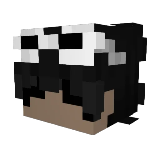 Blxss3d Minecraft avatar head, 3D render