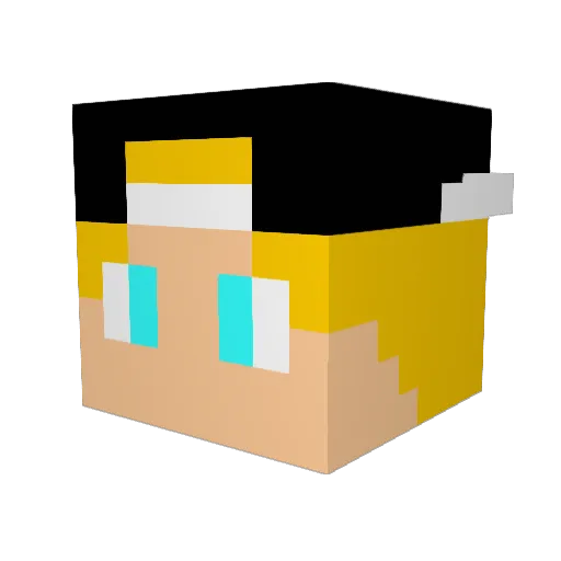 BlyKiller99 Minecraft avatar head, 3D render