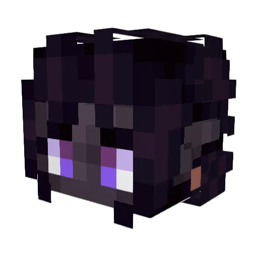 BlyatMajster Minecraft avatar head, 3D render