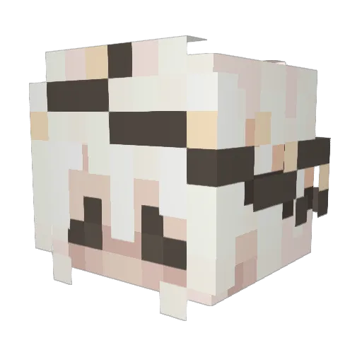Blyeet Minecraft avatar head, 3D render